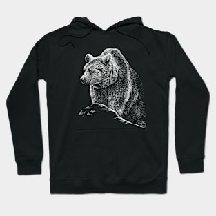 Bear Hoodie